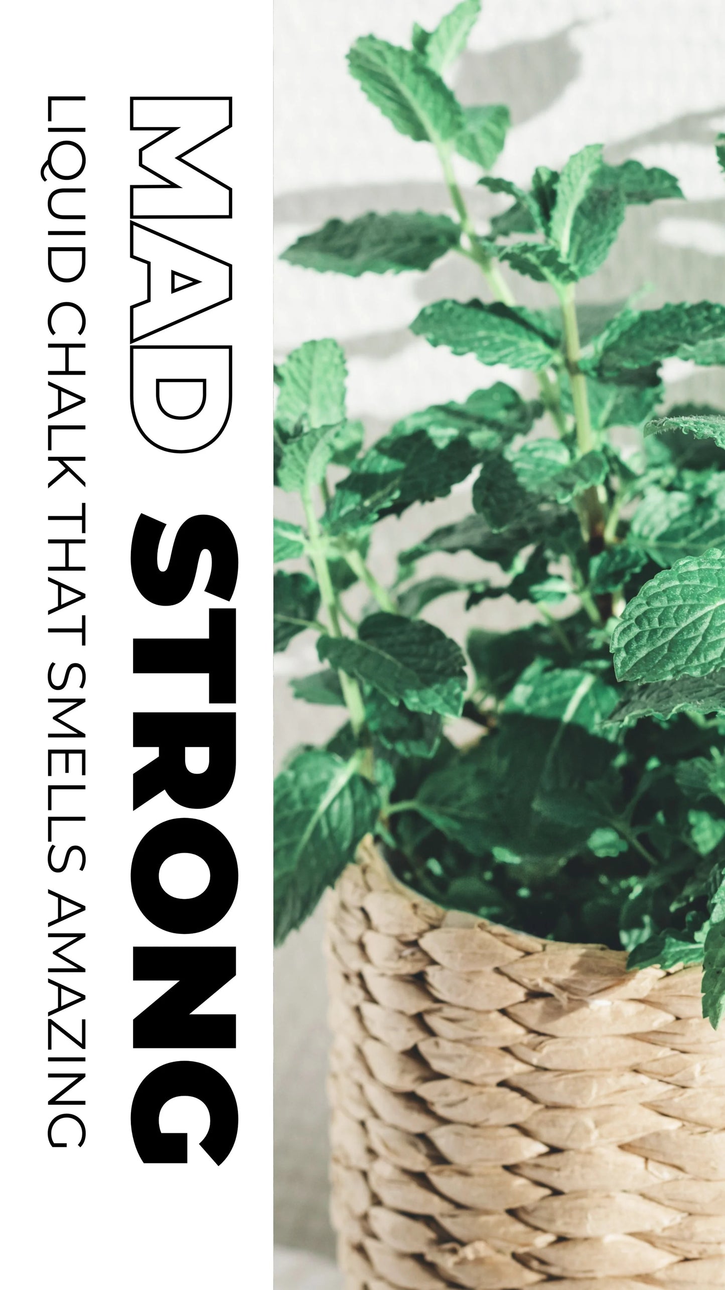 LIQUID CHALK / Fresh Green - Mountain Mint