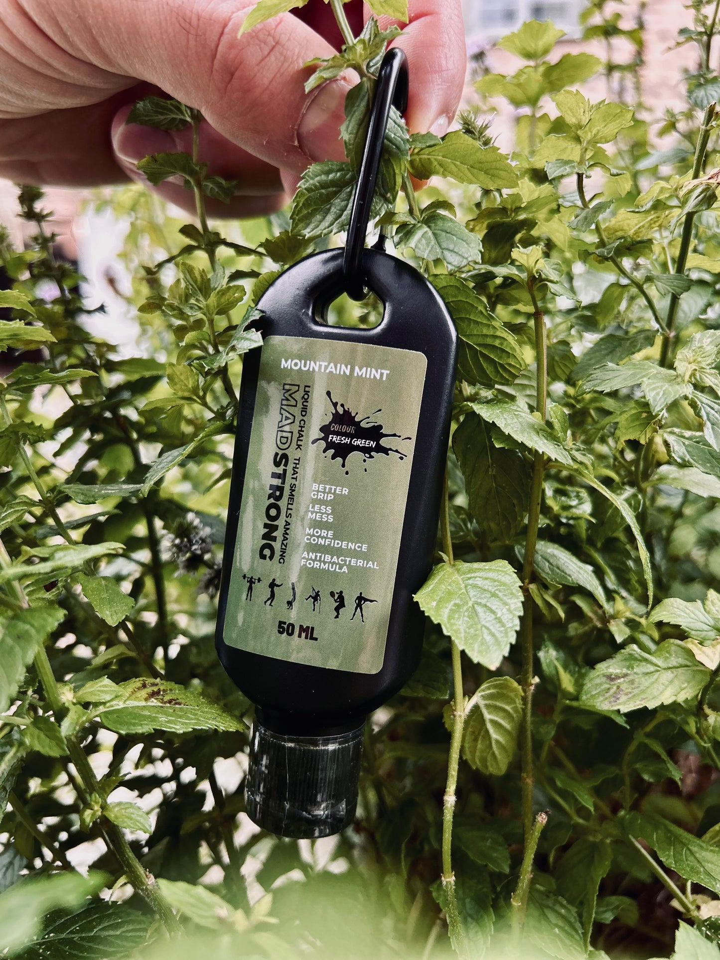 LIQUID CHALK / Fresh Green - Mountain Mint